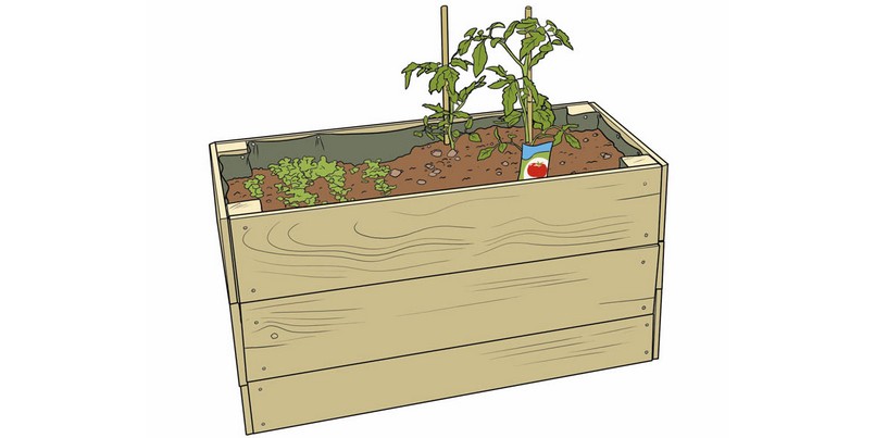 POTAGER-ACCESSIBLE-805x403.jpg